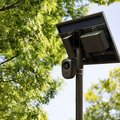 A solar-powered automated license plate reader camera mounted on a pole among green trees